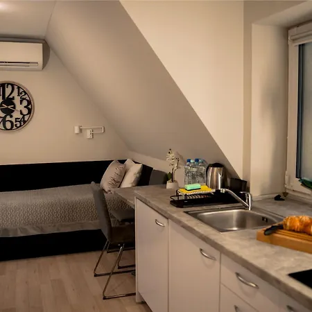 Apartment Apartamenty Pyskowice *