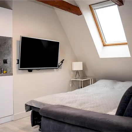 Apartamenty Pyskowice 아파트 *